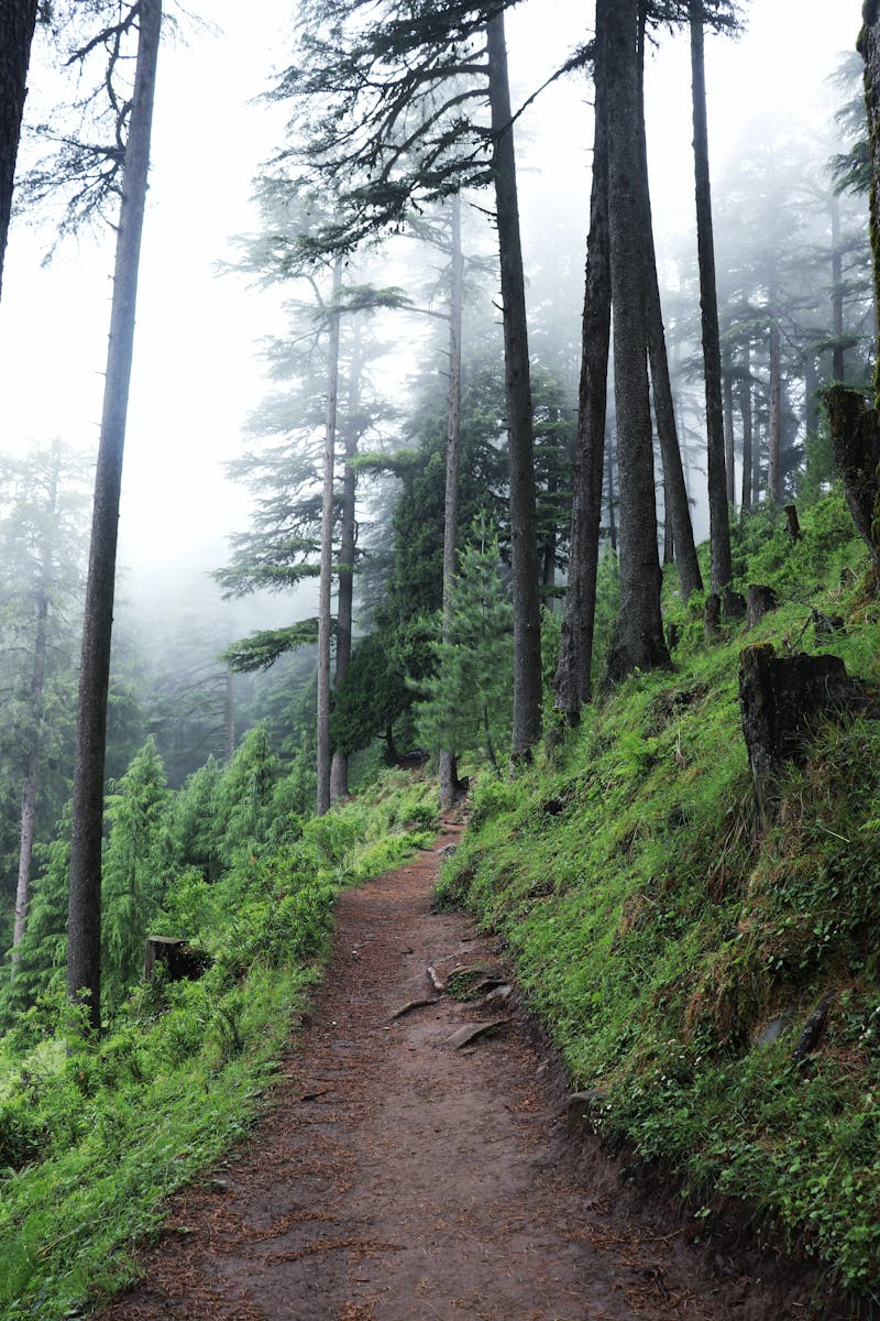 Kanatal