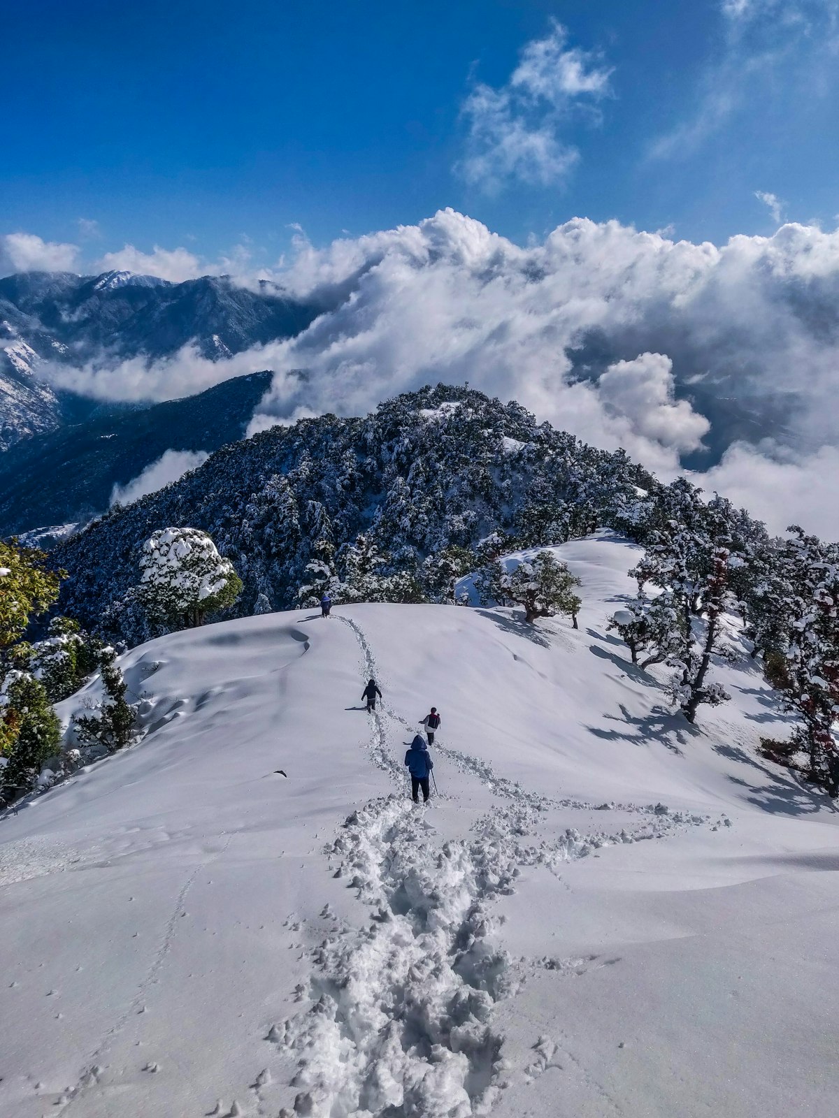 Snowy trekking landscape